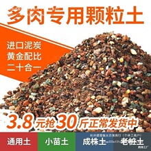 �����w�����Wُ�������I�B��ֲ����̿���~�����������w����������