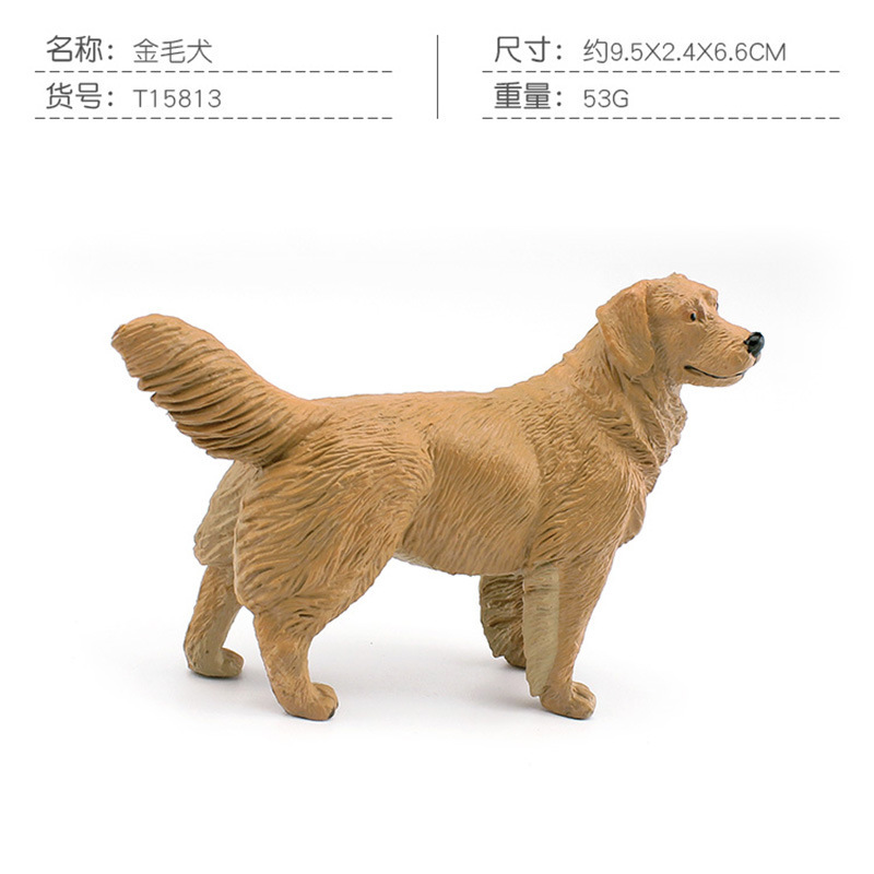 PL127-645 perro golden retriever 53g
