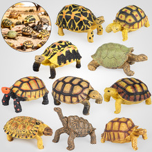 实心仿真动物模型野生动物苏卡达陆龟四趾龟印度星龟儿童玩具摆件