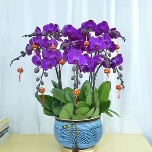 �����m�������Ժ����m����ֲ���҃Ȼ��ܾGֲ�辰�^���ļ��_�����B