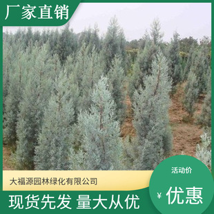 ���������l�� ���󃞻��{������ ���^�쾰��·�@�ֹ��̾G����