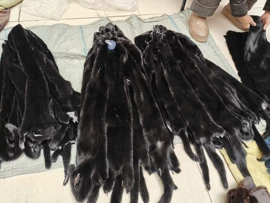 生皮、毛皮;坐垫椅垫;冲锋衣、裤