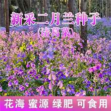 �����m���N���T�������ͺ��＾���N�����G�����^�G����Դ���N��