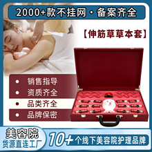 伸筋草草本套盒身体伏湿肩颈腰背推拿发热油美容院养生馆身体护理