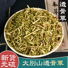 透骨草中药材500g珍珠透骨草粉中药材非野生透骨草泡脚伸筋草