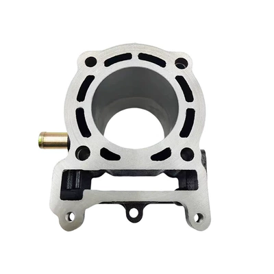 SMAX125 YP125 ZF125T – Cylinder and parts