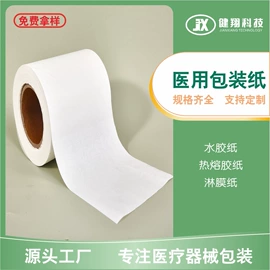 医用口罩;一次性日用口罩;其他用途纸