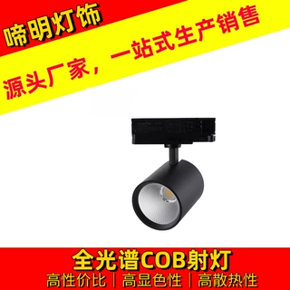 LED四线轨道灯伊戈尔一体化驱动高端导轨灯餐厅瓷砖展厅导轨射灯