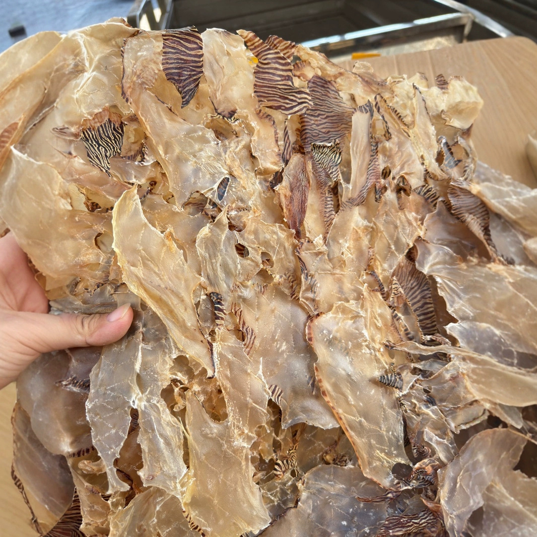 油螺片 阳江螺肉干货 响螺干响螺片海鲜干货 水产煲汤 500g