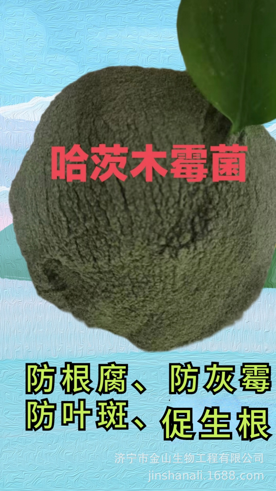 哈茨木霉菌防根腐溶解快 哈茨木霉菌基地合作社批发 防灰霉