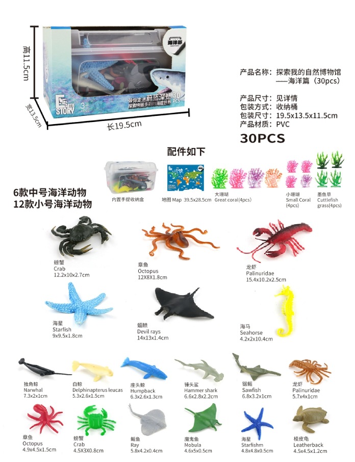 X1009 내 자연박물관 탐험 - 해양 (30개)