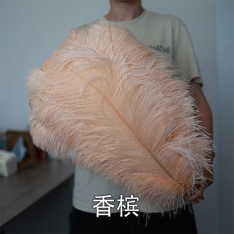55 - 60cm plumas de avestruz de Sudáfrica al por mayor accesorios de ropa DIY accesorios materiales accesorios de diseño de boda lana de avestruz