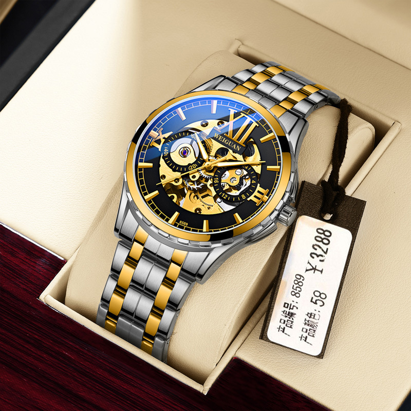 New 2025 Business Men's Watch Hollow Mechanical Watch Men's Watch Fully Automatic Mechanical Watch Wholesale Dropshipping