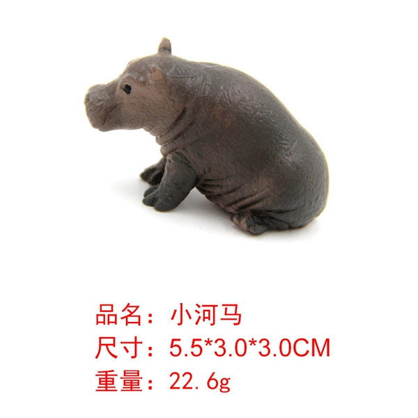 M4029 Little Hippo