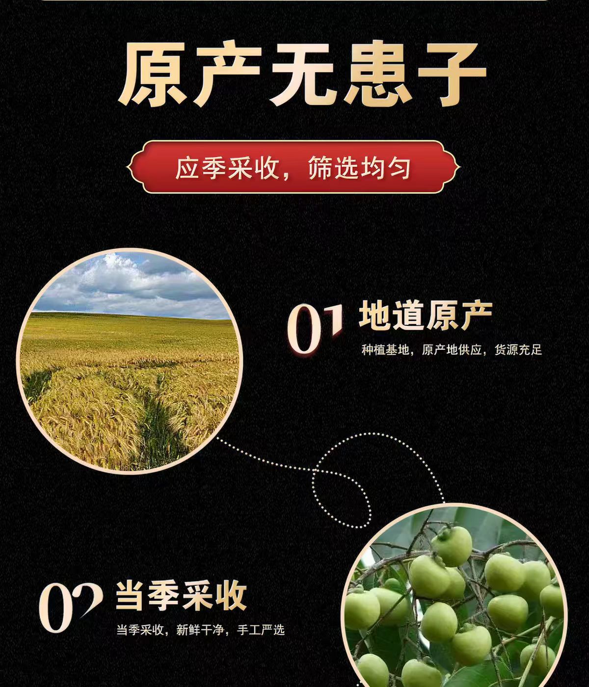 Wu Huan Zi Fruit Peel (Sapindus mukorossi) — Dried Soapberry Hulls for Natural Hand Wash & Daily Cleansing specifications