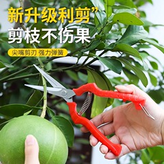 【新人福利】采果剪稀果剪葡萄疏花剪修花修枝剪柑橘子花椒采摘摘