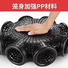 加强黄鳝鱼笼沉底八孔鳝鱼笼户外新款泥鳅笼黄鳝笼鱼虾笼倒须笼子