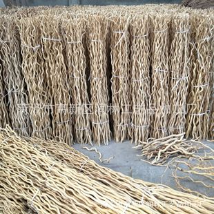 ��ɣ��֦�ɻ������֦�廨��������ɣ��l��֦���l���T�����b�