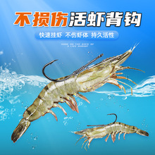 �r���h���ɒ���r�h���ó�Ʒ�h�rួM·����ឺ���|�~���r�h�~�h