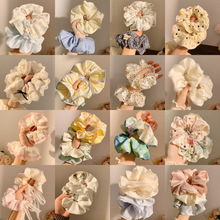 ��ʽ������c�lȦŮ2025�¿��nϵ�߶˴��cȦ�߼��д�̖�l��^�KŮ