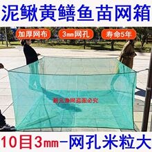 ���q�S�X�~�Bֳ�W���~����~�B�~С���r���ӎ��w���w
