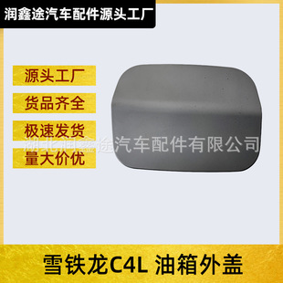Oe: 96870372Xt 9677037277 Fuel Tank Outer Cover and Refueling Mouth Cover Suitable for Citroen C4L