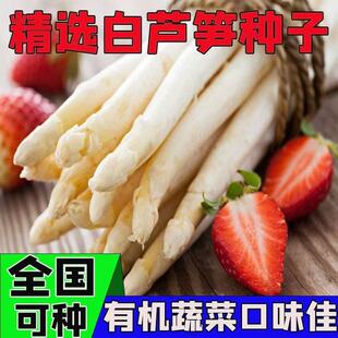 ���J�S�N����횲�ʯ��طN�ӿ�ʳ���ļ��ͺ���ͥ�＾���|�߲˷N��