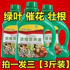 通用型植物营养液浓缩液体土培水培效吸收室内黄叶生长水溶