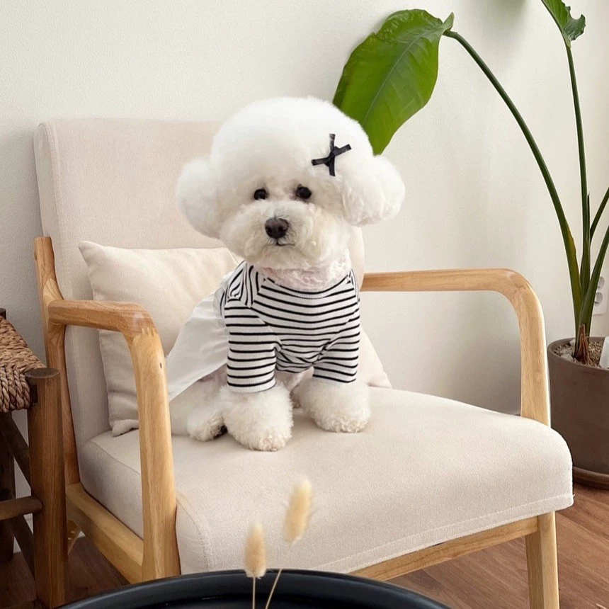 Одежда для домашних животных, одежда для собак, милая поддельная футболка из двух частей в полоску, Тедди Бишон Шнауцер, маленький размер, собаки, кошки