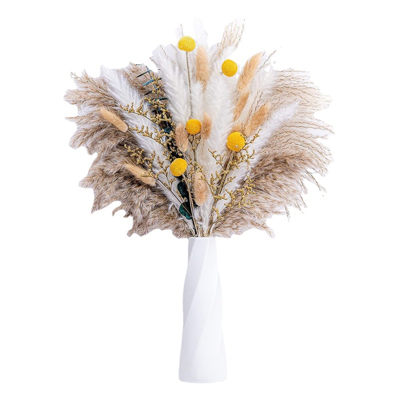 Pequeño Reed natural ramo de flores secas eucalipto hoja polvo conejo cola hierba Pampa hierba arreglo floral Amazon Venta caliente
