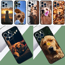 适用苹果手机壳金毛猎犬朋友外壳iPhone 15 14 Pro Max外壳iPhone