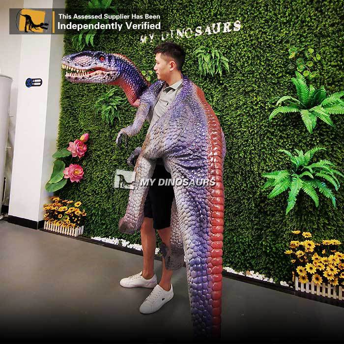 过肩迅猛龙肩偶