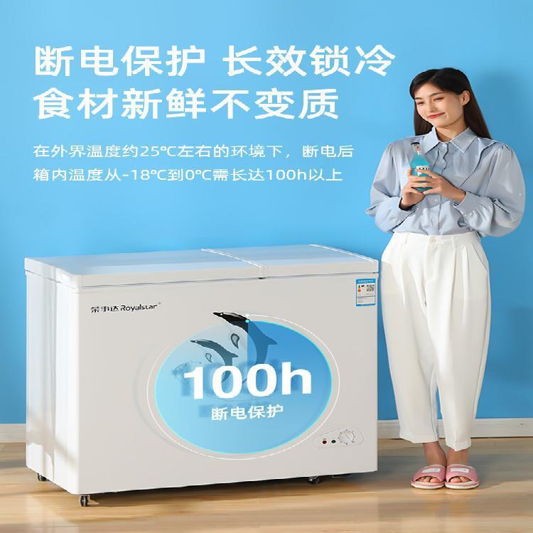 荣事达100/200升双门双温冰柜家用小型冷藏冷冻两用冷柜卧式冰箱