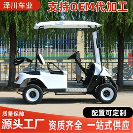 其他电动车;电动观光车