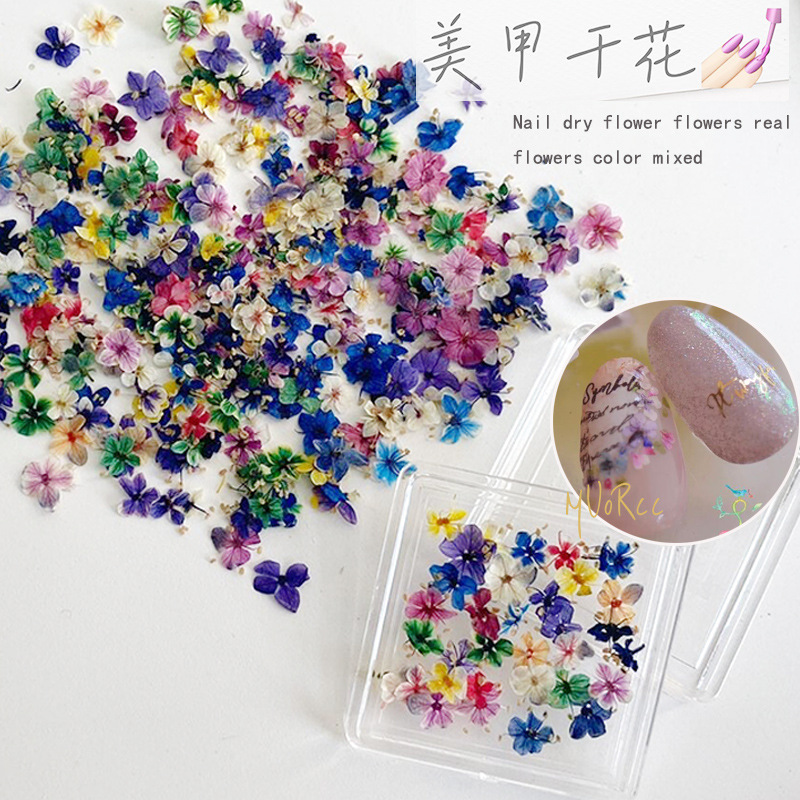 Japanese style new ins same style nail natural dried flower flower oil painting style mixed color nail diy decorations small flower