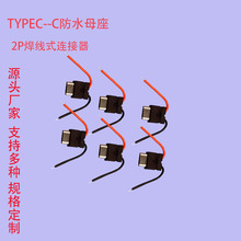 TYPE-Cĸ2Pˮĸʽtype cˮĸ2PˮB