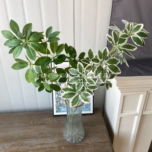 ���Q����ľ�Gֲ����߼��оGɫ��ˇ�b��Ƶ���û�Y�쾰���滨