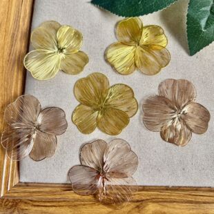 �F�|��Ƭ�������~�݆Ό�8�ֻ�Ƭ5cm�U�պ�������Ƭ  �Y���ػ����