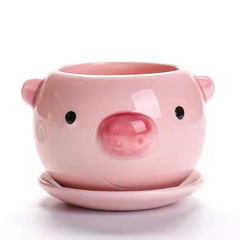 メーカー直販多肉アニメ植木鉢陶磁器軽量通気シンプル肉植物創意個性大容器