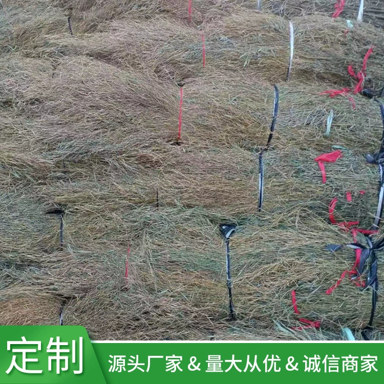 Источник питания Бамбук Phyllostachys pubescens Бамбуковые ветви Глубокая переработка Изысканные ветви Бамбука Рассада метлы Золотые ветви Шерсть Erhuang