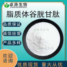 脂质体谷胱甘肽50%70%水溶纳米磷脂包埋谷胱甘肽颗粒现货批发