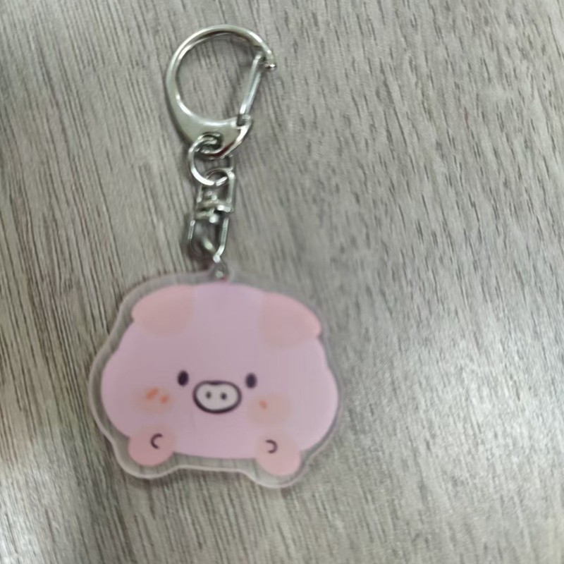 クリエイティブ漫画かわいい両面透明アクリル labubu キーホルダー学生バッグアクセサリー子供のランドセルペンダント|undefined
