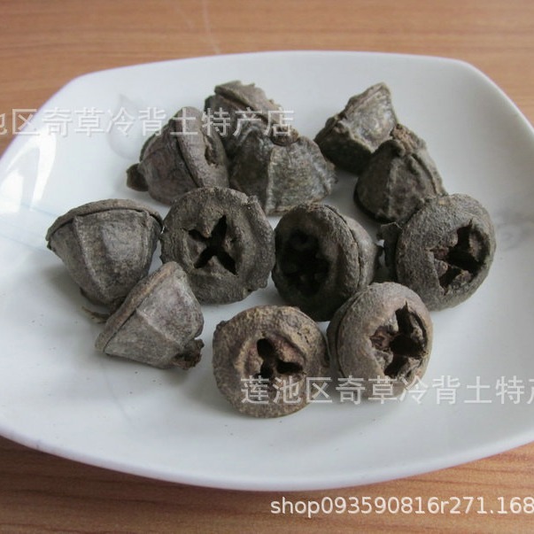 一口钟,蓝桉果,桉果,洋草果,中药材桃金娘科植物蓝桉果实