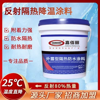 TC-R-CB水泥基材封闭加固底漆 楼顶屋面防水涂料 HT隔热防水涂料