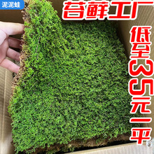 ����\̦�\�r�������\�װl�\������̦�r΢���^�̽q�\ֲ��ͥԺ��Ƥ