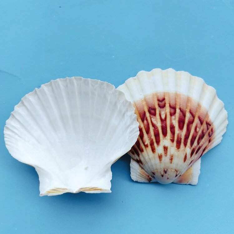 MTXX_20240319_144823823