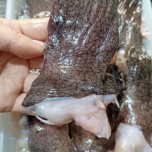 aش̖~~̳ȫ~~srكlһ