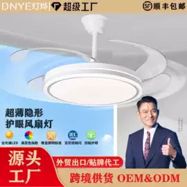 风扇灯;工业风扇