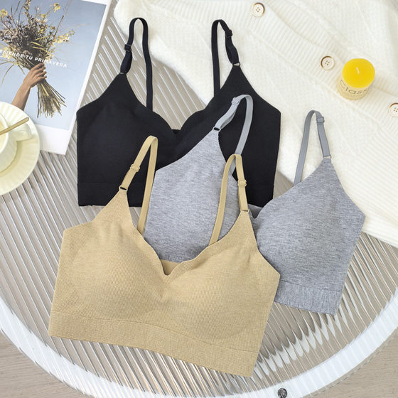 Autumn and Winter Sanding Seamless No Steel Ring Push-up plus size Sling Beauty Back Breasts Upper Bra Women's Bra