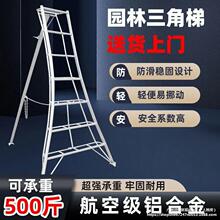 �@�����������_�ݹ��@��ժ�������ӾG����ľ�޼����X�Ͻ�����